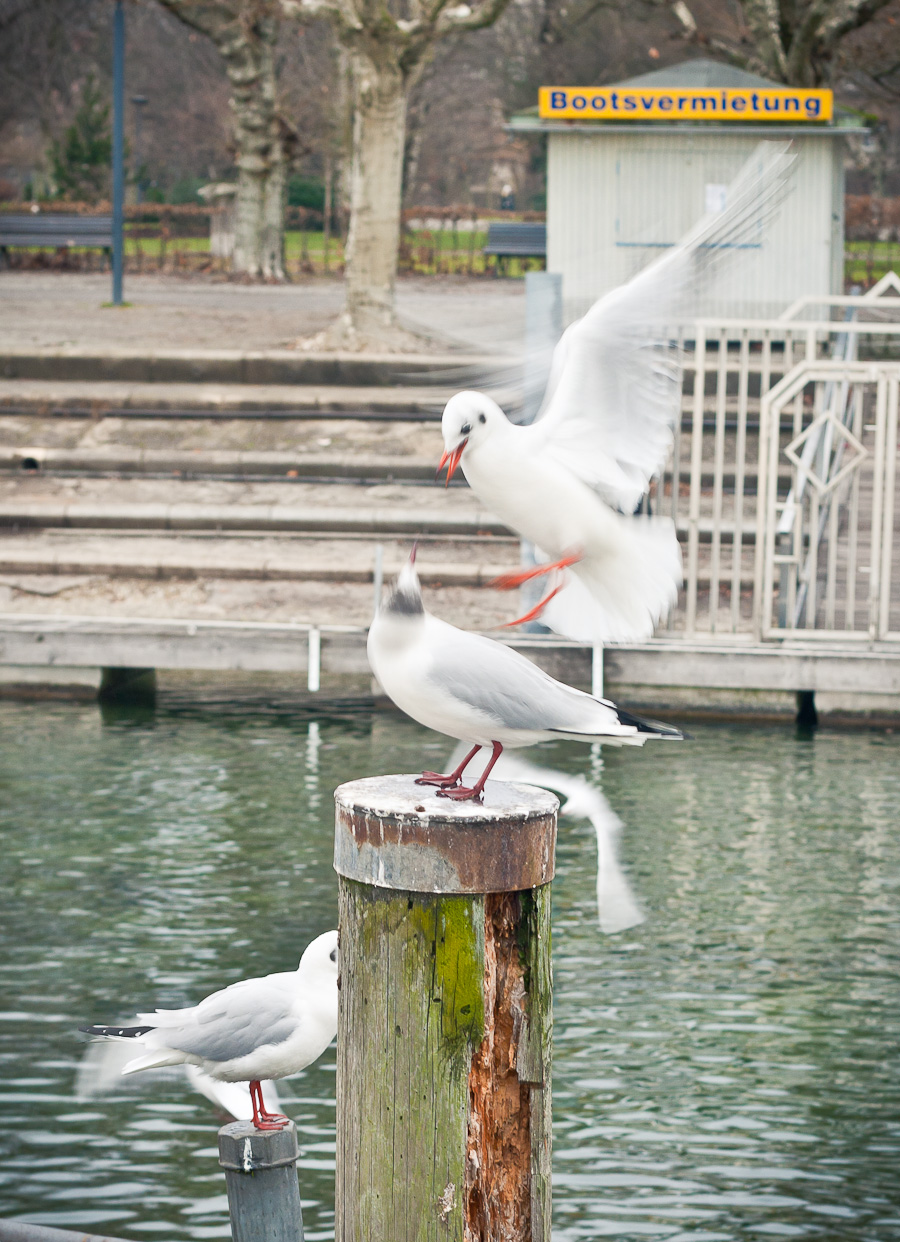 IMG_2380.jpg