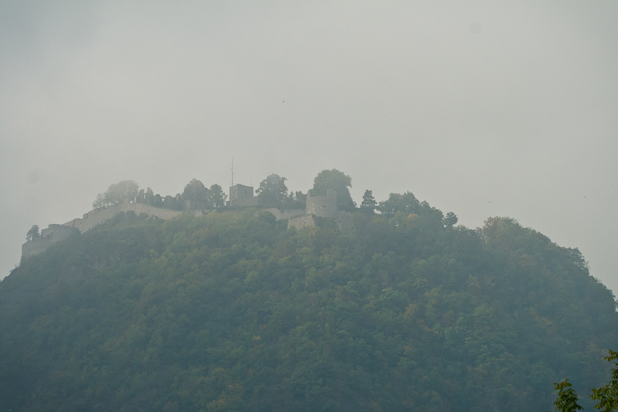 IMG_5104.jpg
