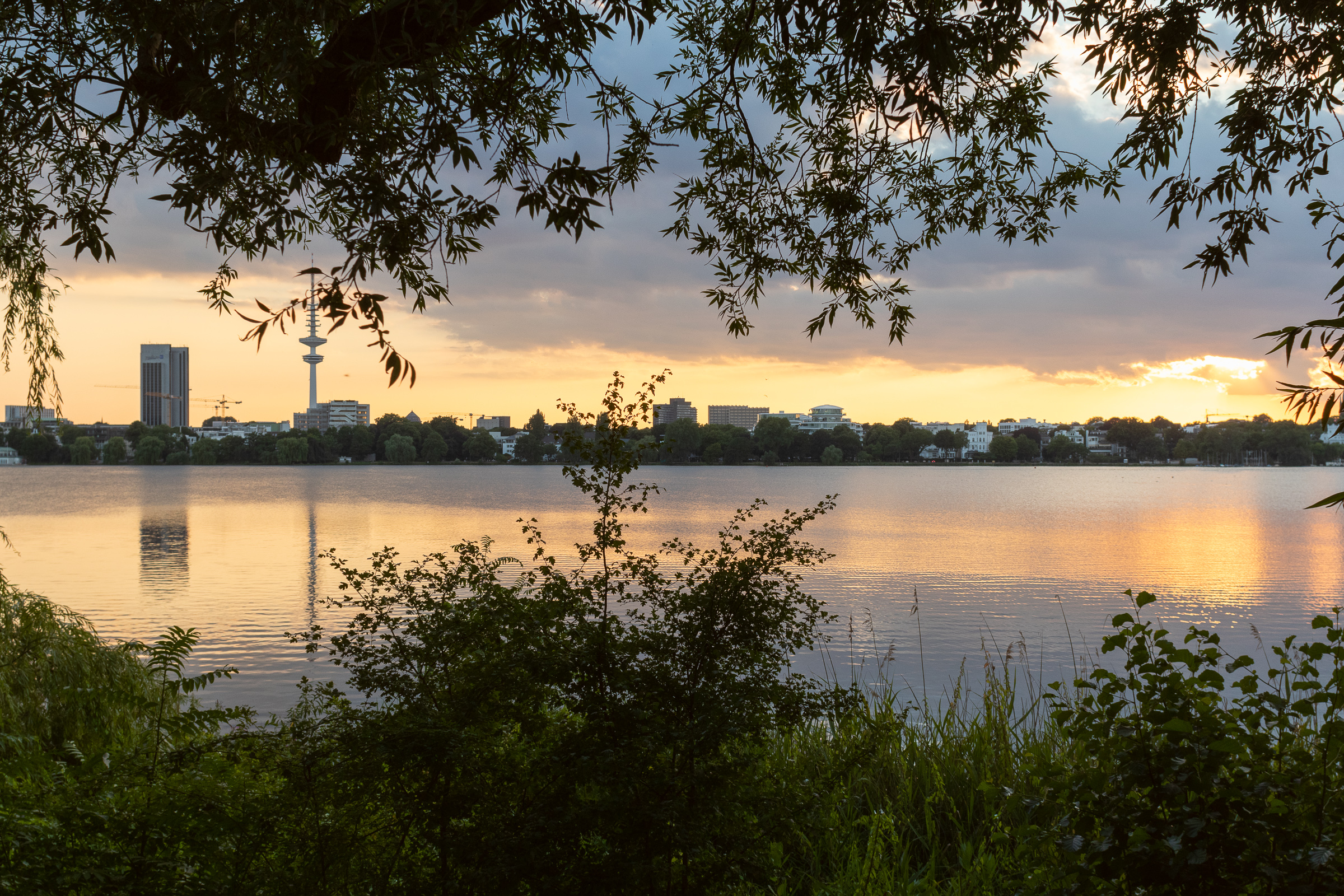 20180715-211139-pwa-1934.jpg