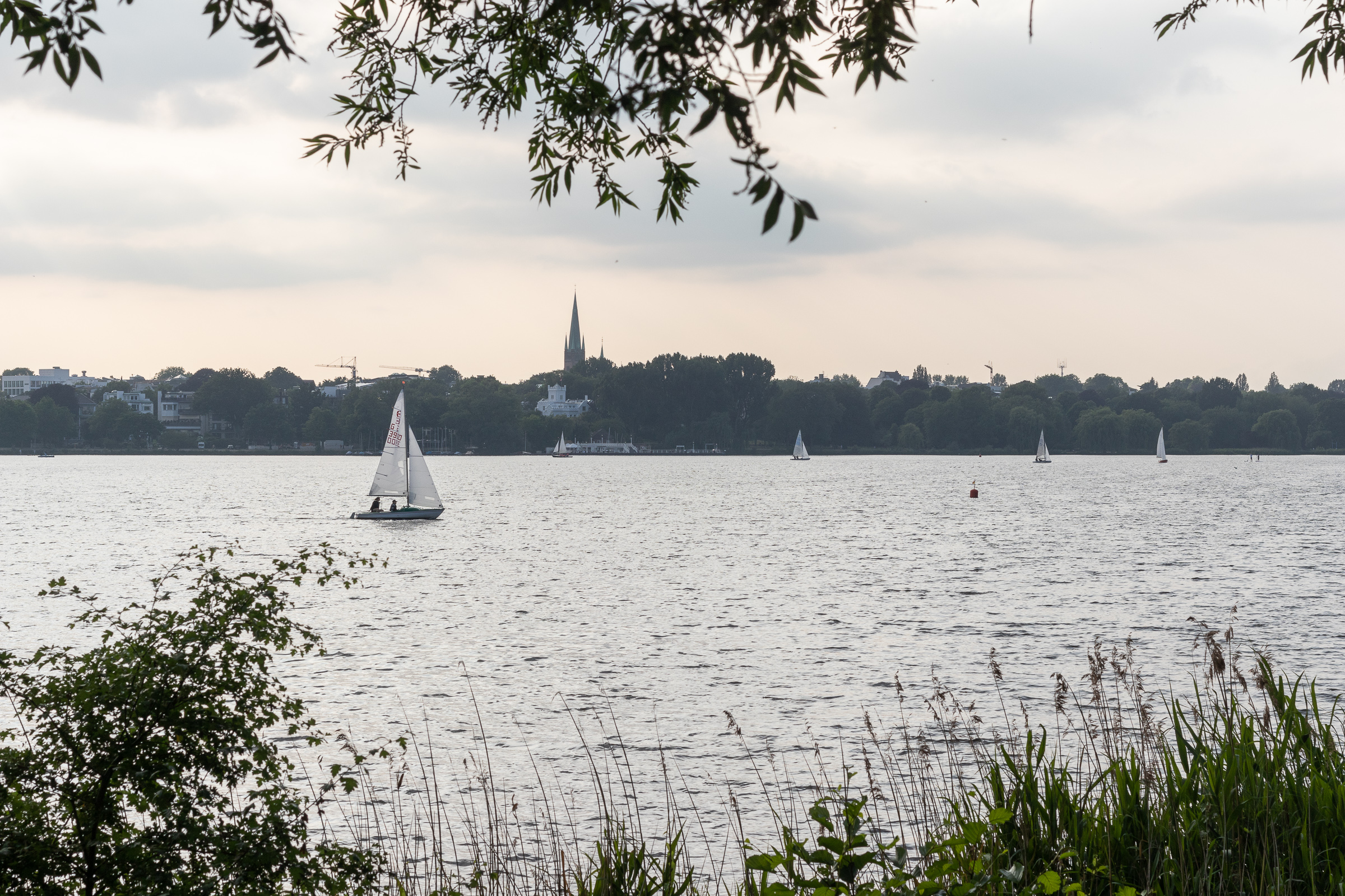 20180603-192433-pwa-1615.jpg