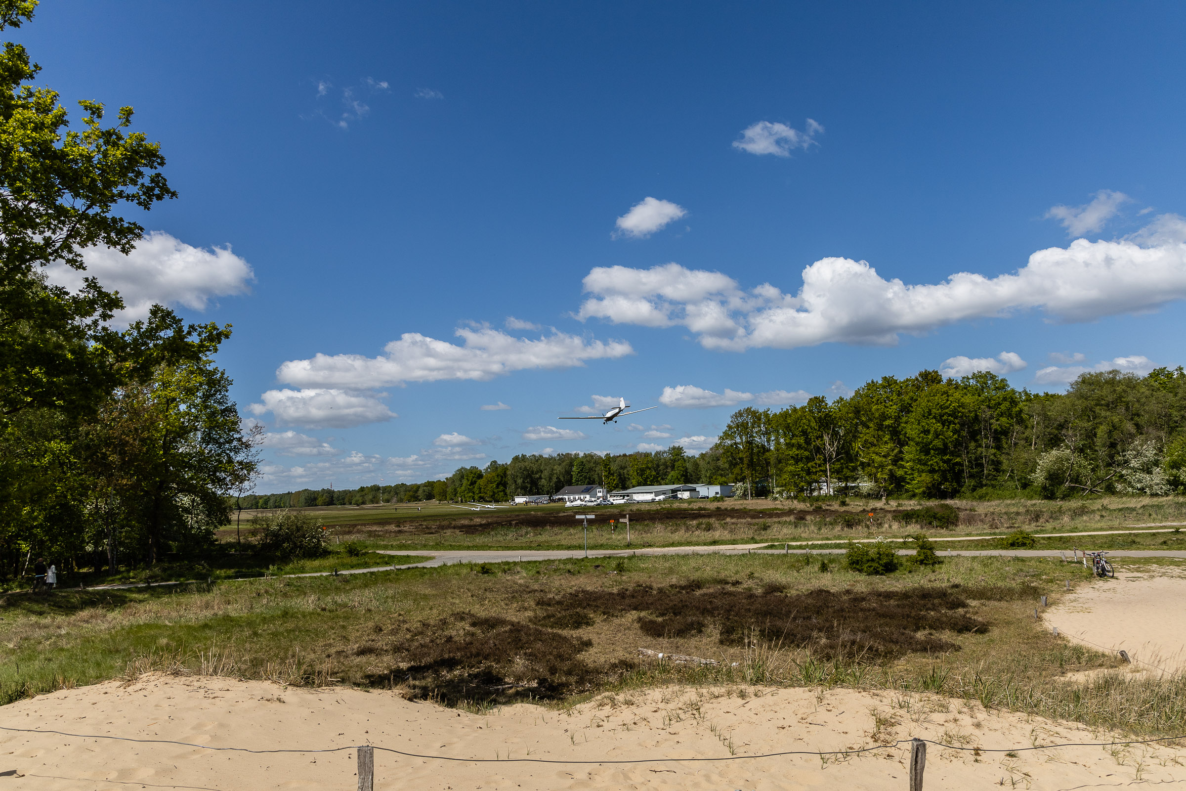20190512-131617-pwa-5847.jpg